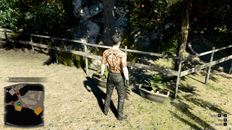 रिच आइलैंड