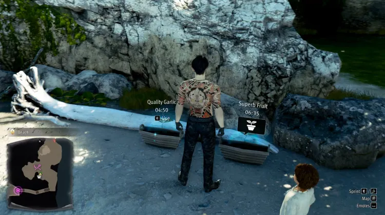 Beach Planters - Rich Island