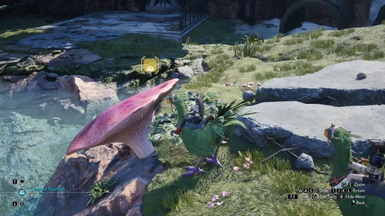 Fungo Trampolino Chocobo