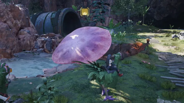 Fungo Trampolino Chocobo