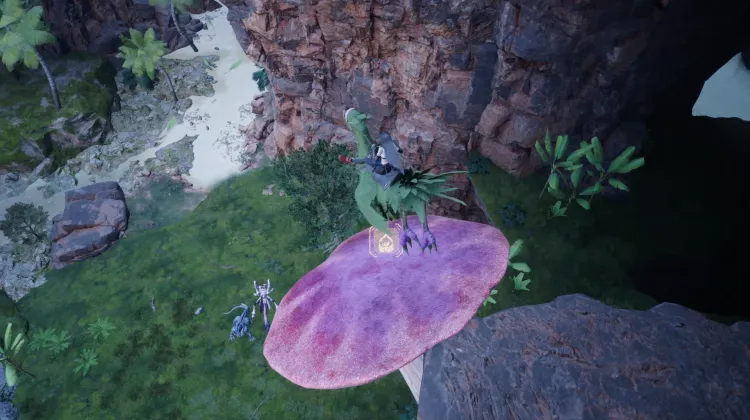 Fungo Trampolino Chocobo