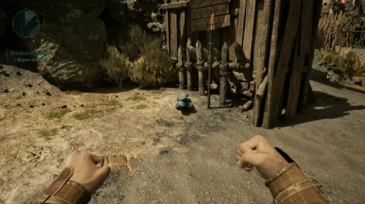 กระดูกสเคน