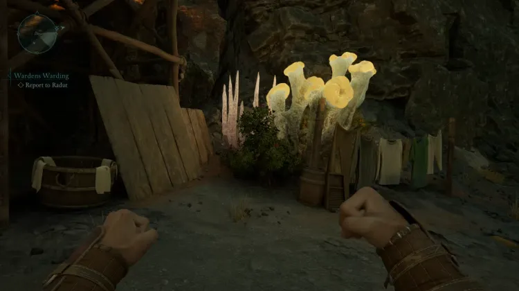 สปริงเบอร์รี่