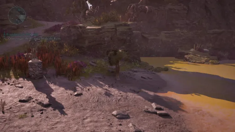 หินปาล์ม