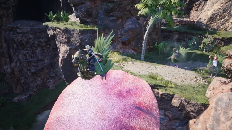 Fungo Trampolino Chocobo