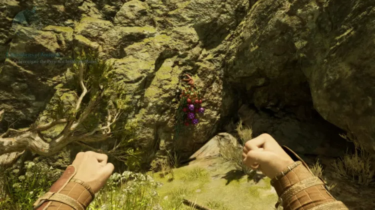 Baccello dell'Anima Dimenticata