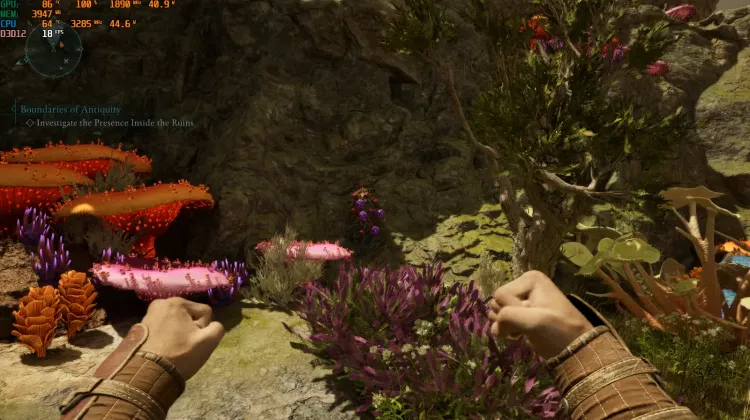 Baccello dell'Anima Dimenticata