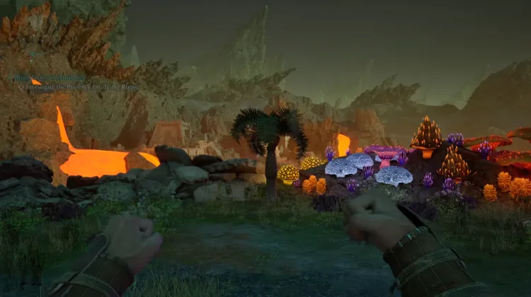 หินปาล์ม