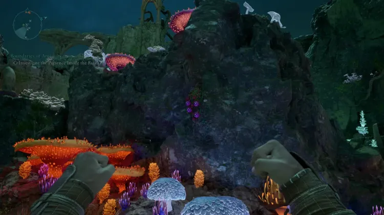 Baccello dell'Anima Dimenticata