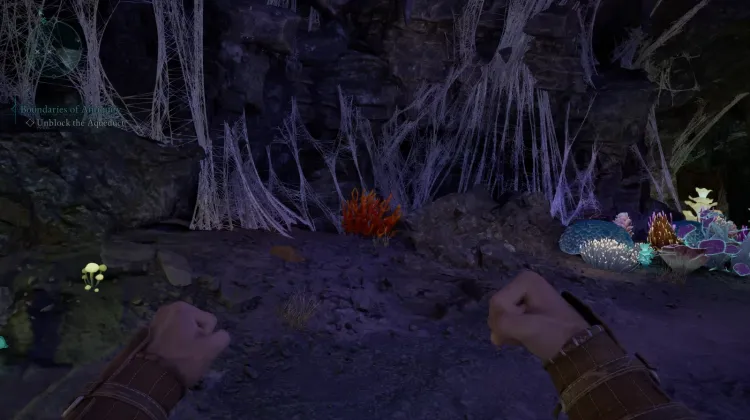 ปะการังถ้ำ