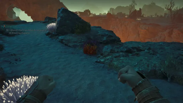 ปะการังถ้ำ