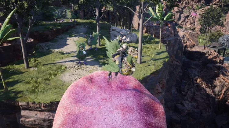 Fungo Trampolino Chocobo