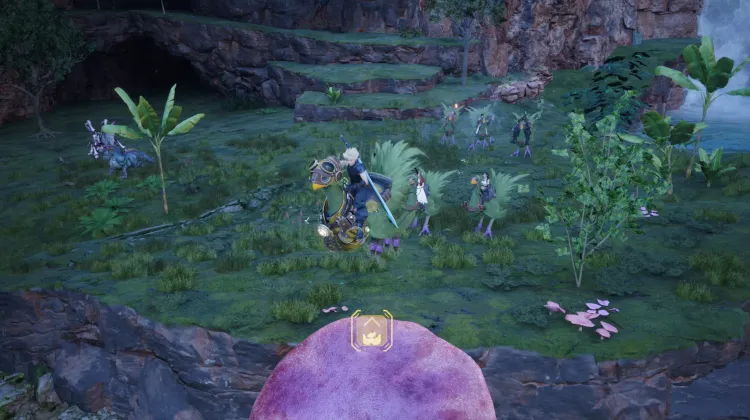 Fungo Trampolino Chocobo