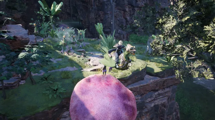 Fungo Trampolino Chocobo