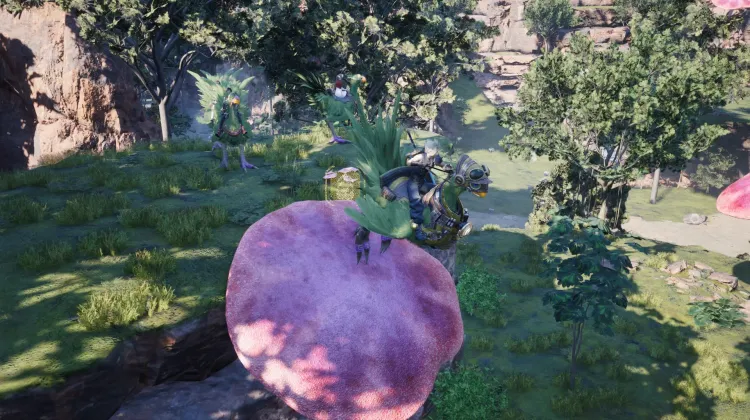 Fungo Trampolino Chocobo