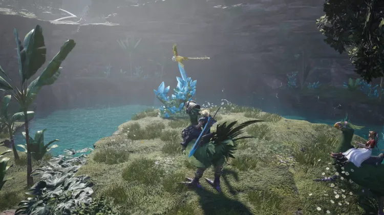 Valefloor Lifespring