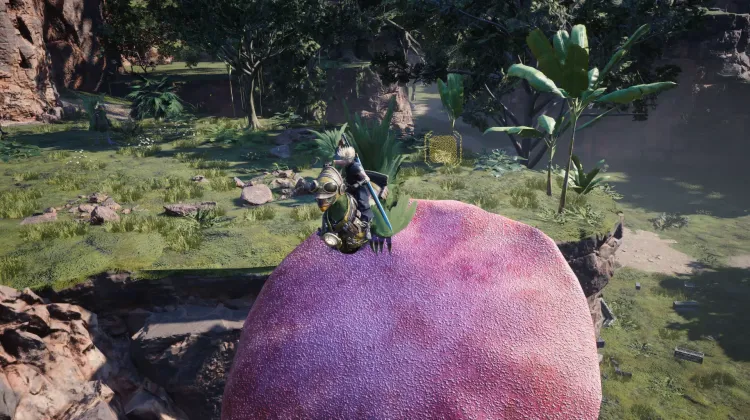 Fungo Trampolino Chocobo