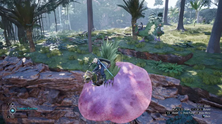 Fungo Trampolino Chocobo