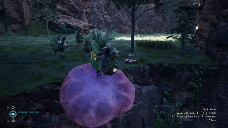 Fungo Trampolino Chocobo