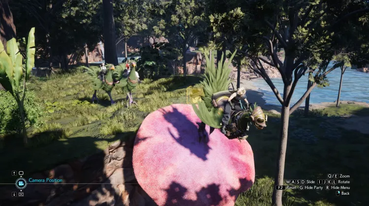 Fungo Trampolino Chocobo