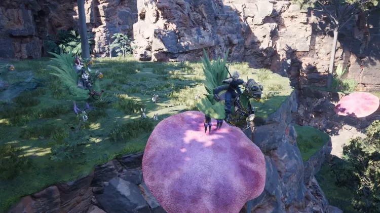 Fungo Trampolino Chocobo