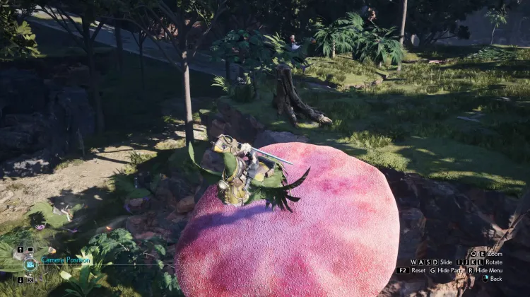 Fungo Trampolino Chocobo