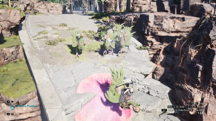 Fungo Trampolino Chocobo