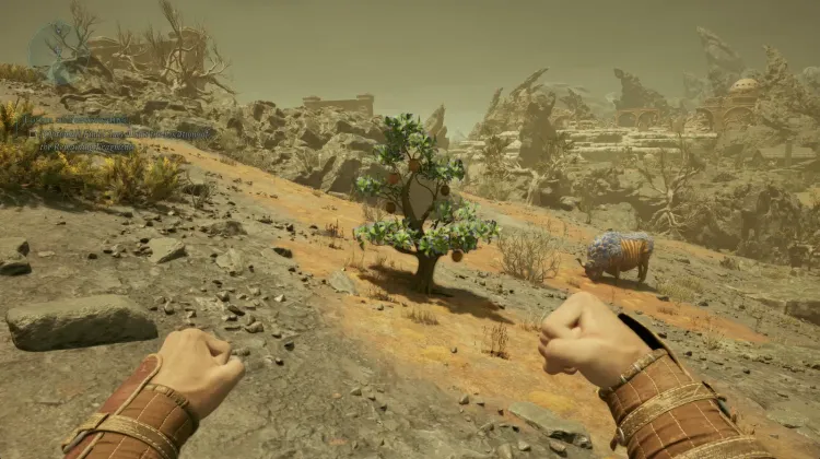 ผลไผ่หนาม