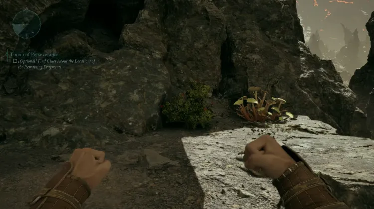 สปริงเบอร์รี่