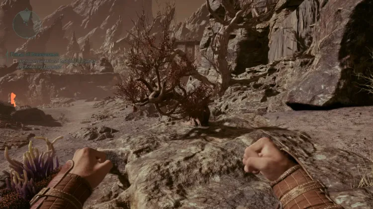 เมลอนหัวใจสับ