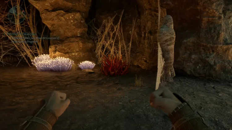 ปะการังถ้ำ