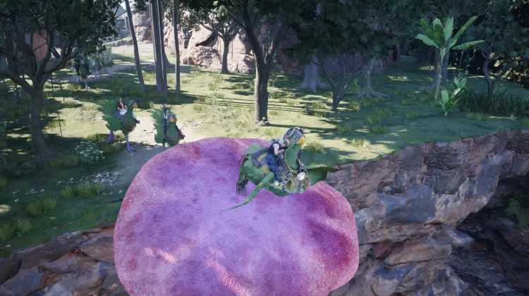 Fungo Trampolino Chocobo