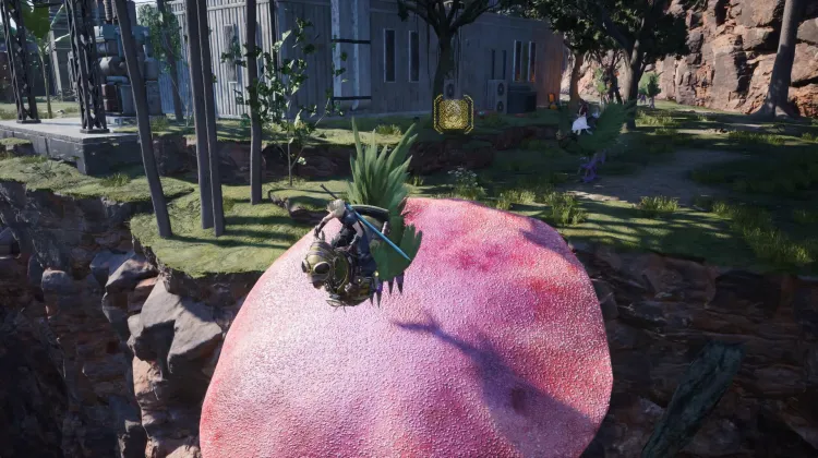 Fungo Trampolino Chocobo