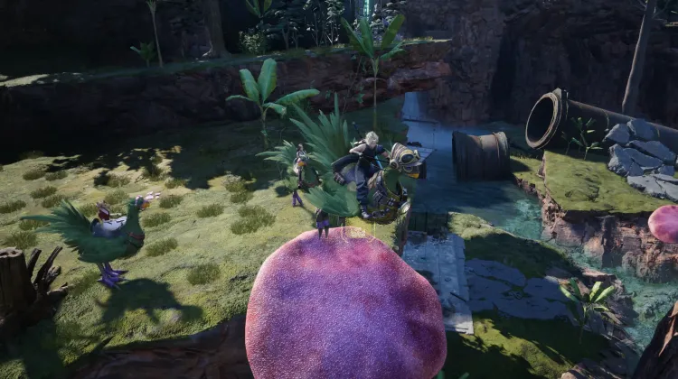 Fungo Trampolino Chocobo