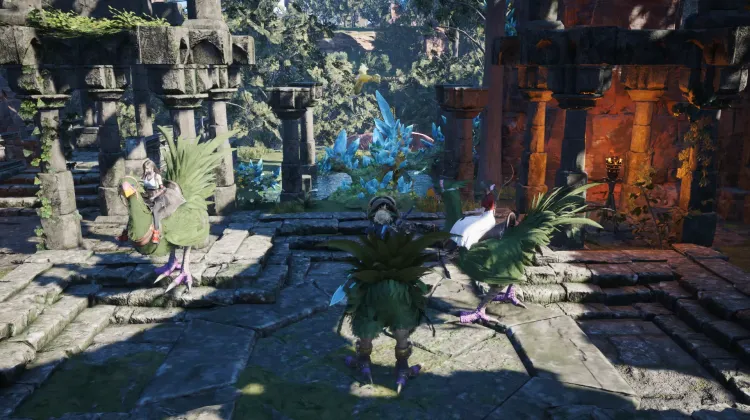 Holy Ruins Lifespring