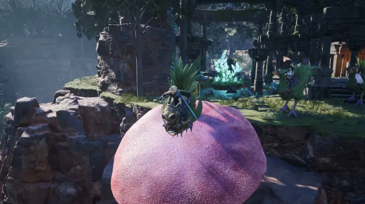 Fungo Trampolino Chocobo