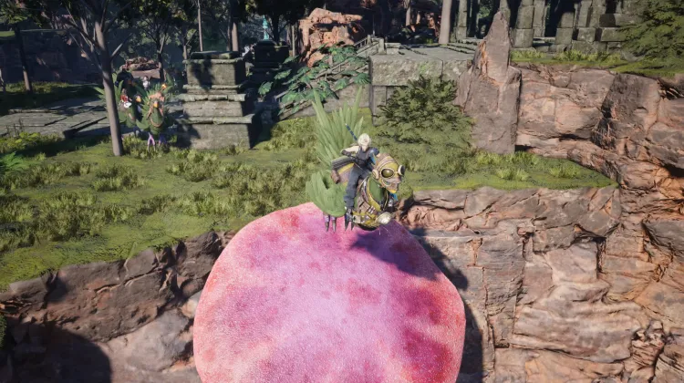 Fungo Trampolino Chocobo