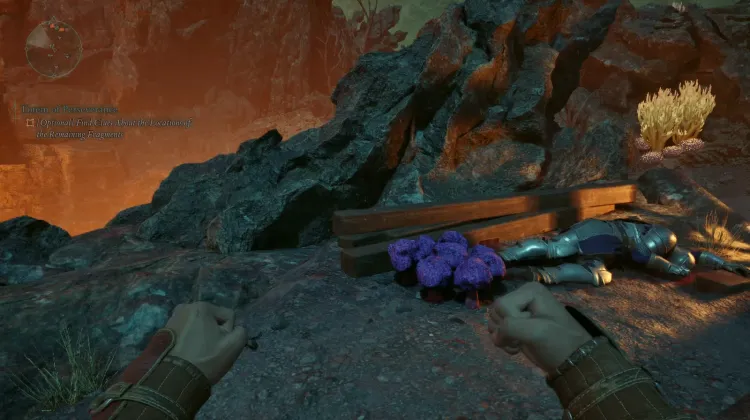 Official Account of Explorations in Galawain's Tusks