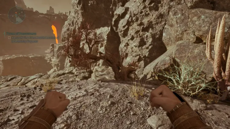 เมลอนหัวใจสับ