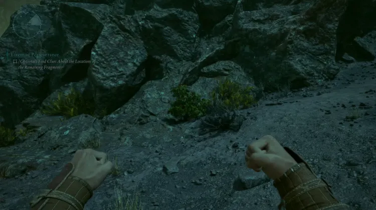 สปริงเบอร์รี่