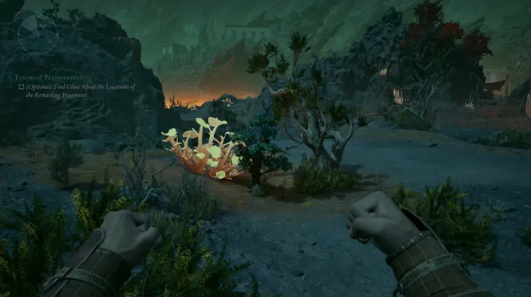 ผลไผ่หนาม