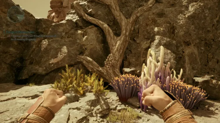 ลูกธนูของผู้ตั้งถิ่นฐาน