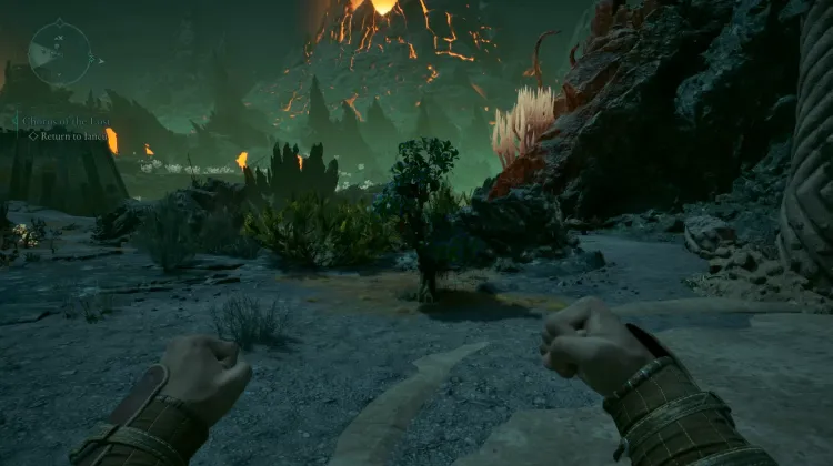 ผลไผ่หนาม