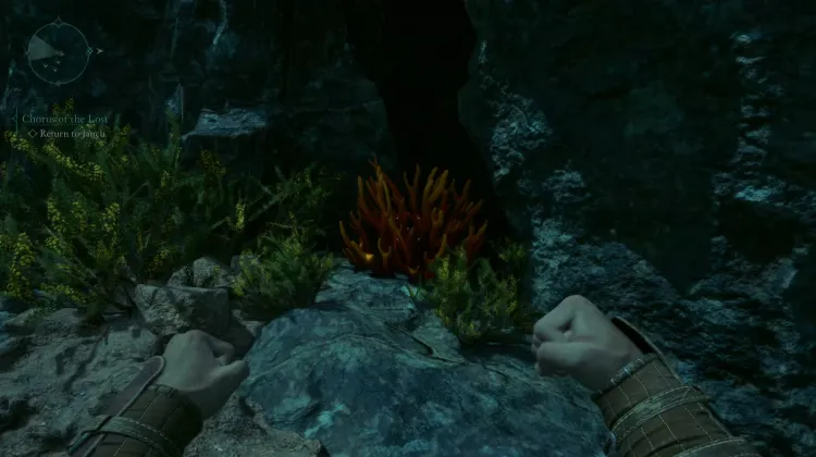 ปะการังถ้ำ