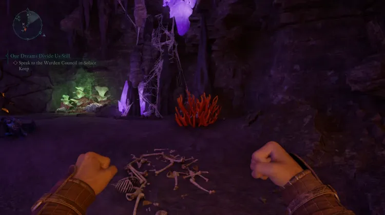 ปะการังถ้ำ