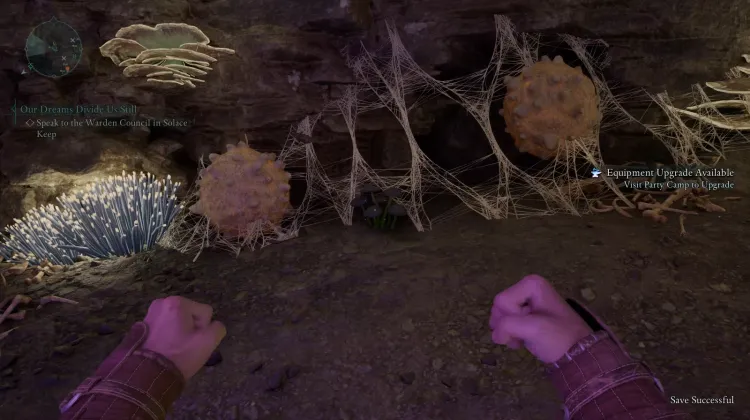 หญ้าเงา