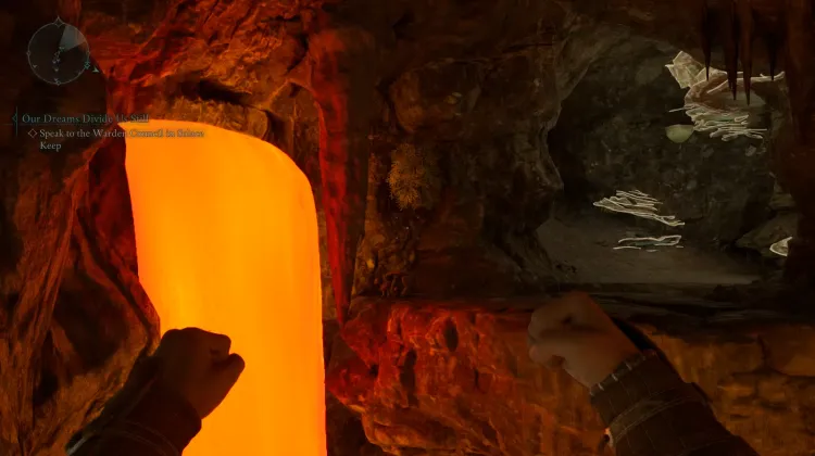 ขนของฮันต์