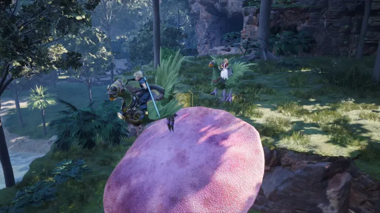 Fungo Trampolino Chocobo