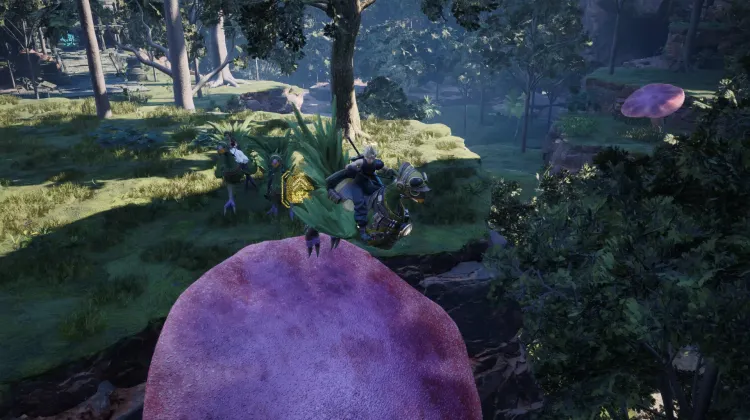 Fungo Trampolino Chocobo