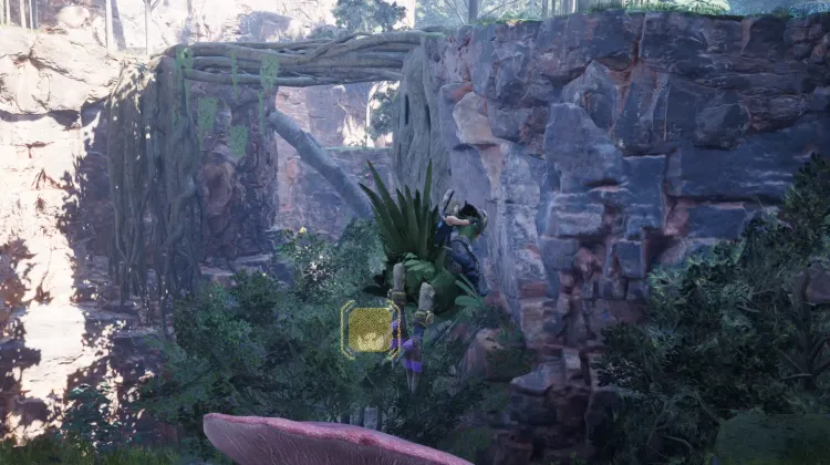 Fungo Trampolino Chocobo